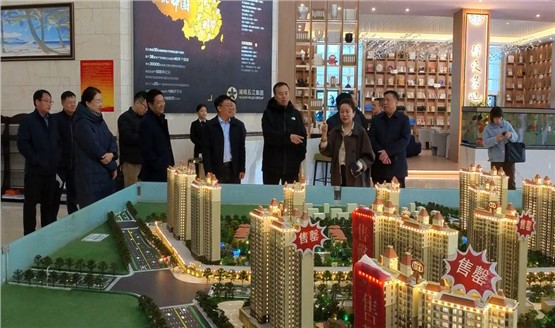 哈密市領導調研湘恒房地產(chǎn)項目